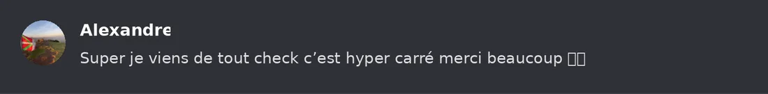 Capture Discord : Alexandre « Super je viens de tout check c’est hyper carré merci beaucoup »