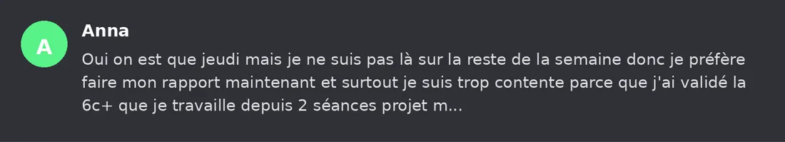 Capture Discord : Anna « Oui on est que jeudi mais je ne suis pas là sur la reste de la semaine donc je préfère faire mon… »