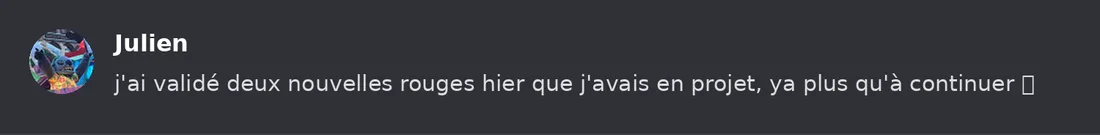 Capture Discord : Julien « j'ai validé deux nouvelles rouges hier que j'avais en projet, ya plus qu'à continuer »