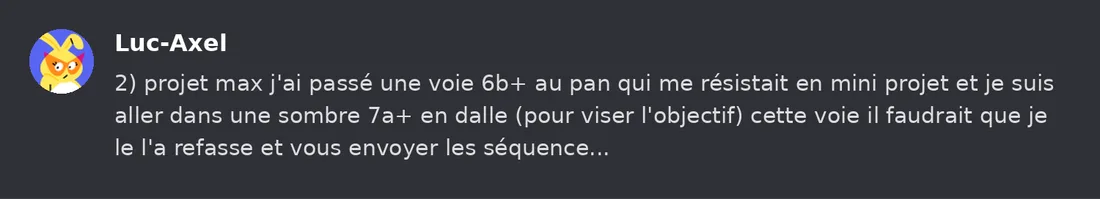 Capture Discord : Luc-Axel « 2) projet max j'ai passé une voie 6b+ au pan qui me résistait en mini projet et je suis… »