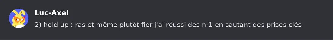 Capture Discord : Luc-Axel « 2) hold up : ras et même plutôt fier j'ai réussi des n-1 en sautant des prises clés »