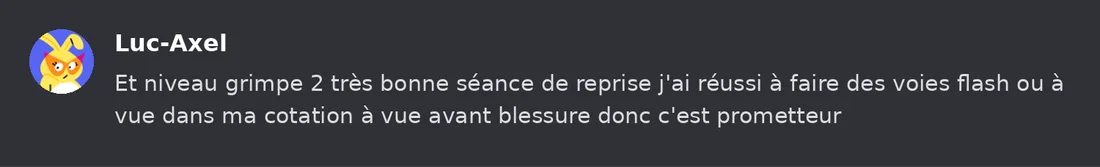 Capture Discord : Luc-Axel « Et niveau grimpe 2 très bonne séance de reprise j'ai réussi à faire des voies flash ou à vue… »
