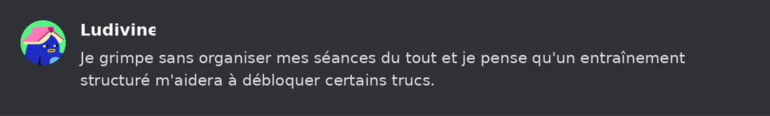 Capture Discord : Ludivine « Je grimpe sans organiser mes séances du tout et je pense qu'un entraînement structuré… »