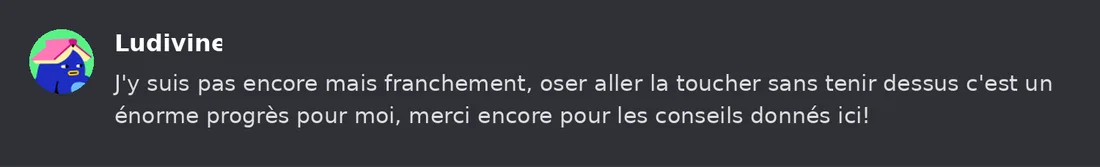 Capture Discord : Ludivine « J'y suis pas encore mais franchement, oser aller la toucher sans tenir dessus c'est un… »