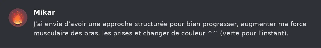 Capture Discord : Mikan « J'ai envie d'avoir une approche structurée pour bien progresser, augmenter ma force musculaire… »