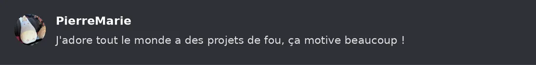 Capture Discord : Pierre-Marie « J'adore tout le monde a des projets de fou, ça motive beaucoup ! »