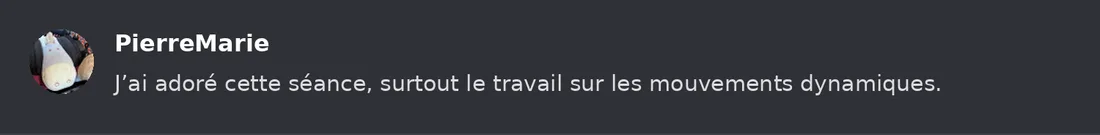 Capture Discord : Pierre-Marie « J’ai adoré cette séance, surtout le travail sur les mouvements dynamiques. »