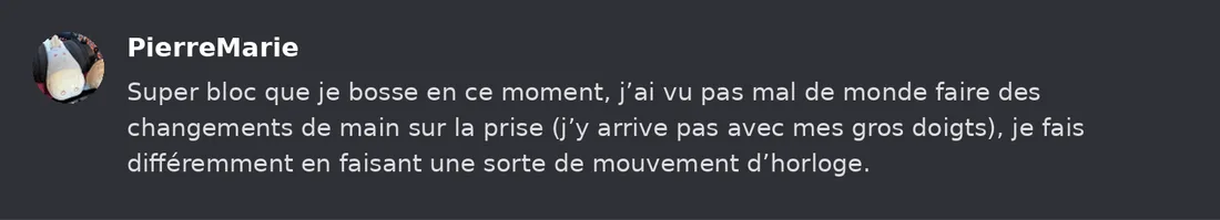 Capture Discord : Pierre-Marie « Super bloc que je bosse en ce moment, j’ai vu pas mal de monde faire des changements de… »