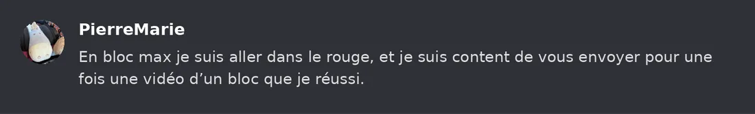 Capture Discord : Pierre-Marie « En bloc max je suis aller dans le rouge, et je suis content de vous envoyer pour une… »
