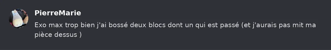 Capture Discord : Pierre-Marie « Exo max trop bien j'ai bossé deux blocs dont un qui est passé (et j'aurais pas mit ma… »
