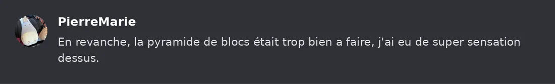 Capture Discord : Pierre-Marie « En revanche, la pyramide de blocs était trop bien a faire, j'ai eu de super sensation… »