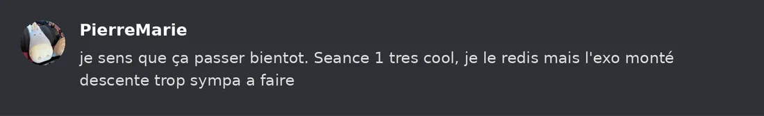 Capture Discord : Pierre-Marie « je sens que ça passer bientot. Seance 1 tres cool, je le redis mais l'exo monté descente… »
