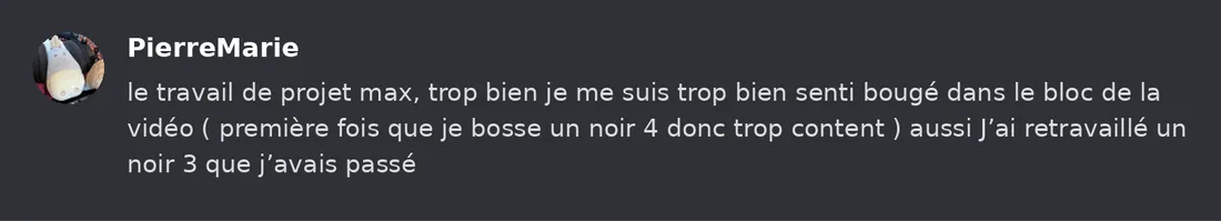Capture Discord : Pierre-Marie « le travail de projet max, trop bien je me suis trop bien senti bougé dans le bloc de la… »